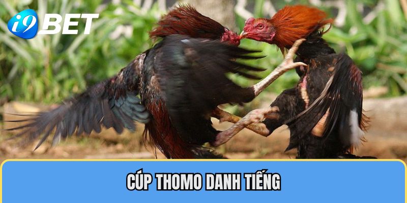 Cúp Thomo đá gà Campuchia danh tiếng