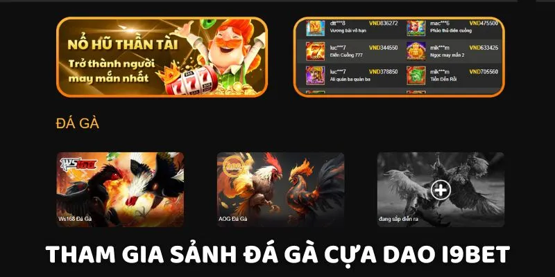 Đăng ký tham gia và đặt cược đá gà cựa dao I9BET ngay hôm nay