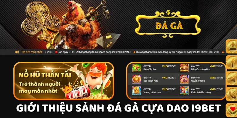 Giới thiệu đá gà cựa dao tại I9BET