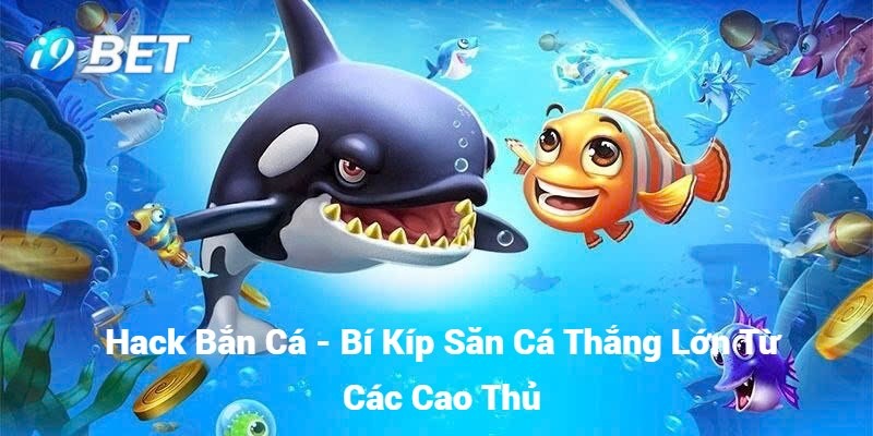 hack bắn cá i9bet